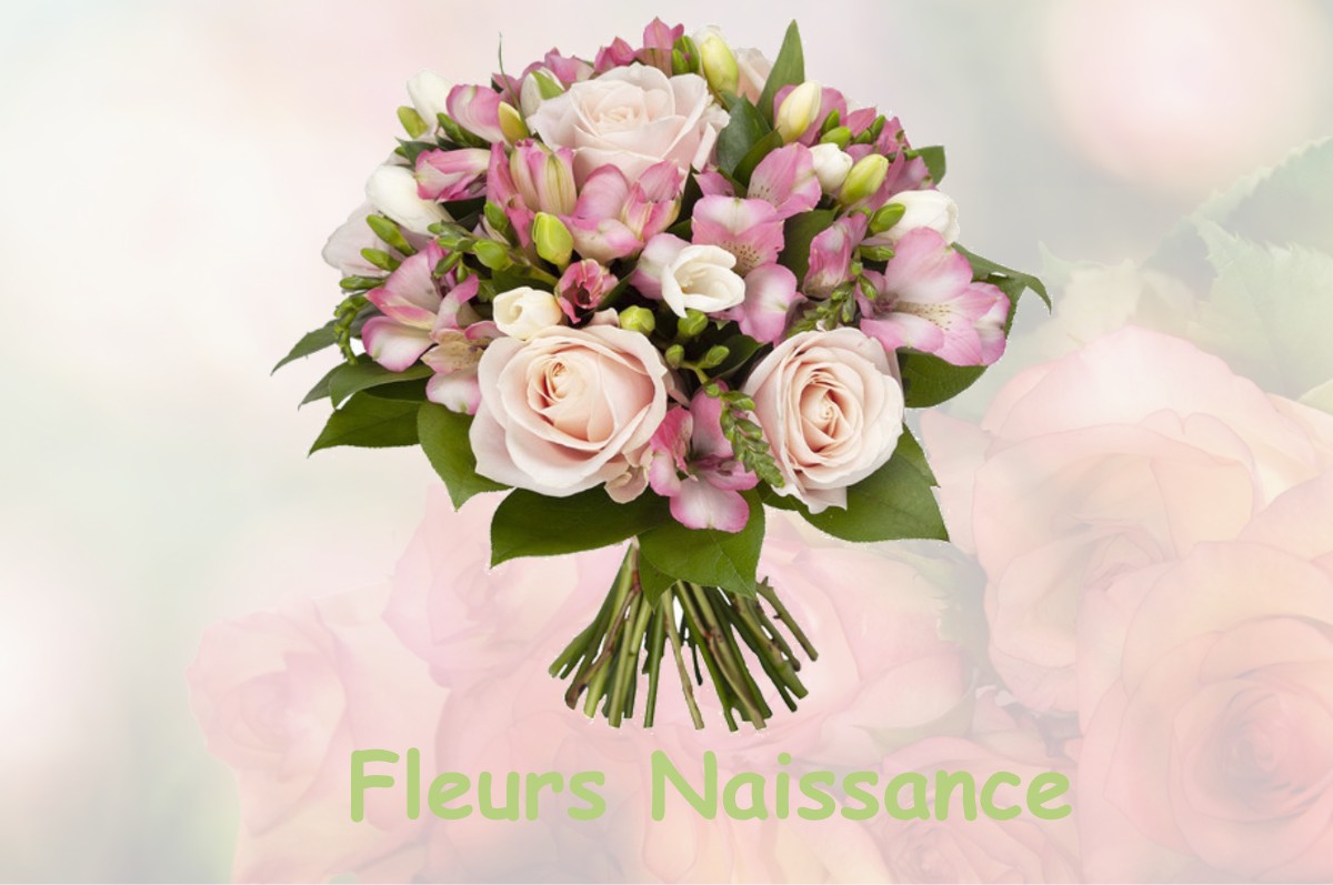 fleurs naissance SAINT-GILLES-CROIX-DE-VIE